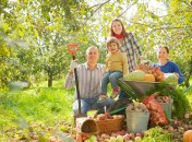 Осень - время не только для сбора урожая