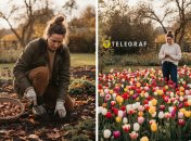 Поради щодо висадження тюльпанових цибулин восени