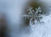 Снег решил не задерживаться: прогноз погоды на ближайшие дни