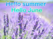 Листівки з першим днем літа-2022