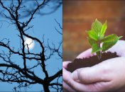 Есть два дня, когда ничего нельзя сажать и сеять в марте 2026