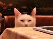 Не найкращий місяць для Раків та Стрільців