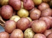 Украина в прошлом году рекордно увеличила импорт картофеля  