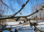 Тепло и ветренно: синоптики сказали, каким будет первый день весны