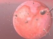 Размножение оказалось важнее, чем выживания