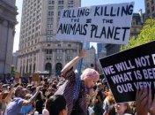 В Нью-Йорке проходит митинг за борьбу с климатическим кризисом (Фото и видео)