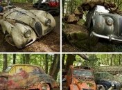 Коллекция старинных автомобилей в лесу (Фото)