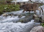 Трансграничные реки должны использоваться согласно конвенциям ООН