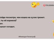 Торт за ночь в холодильнике может сожраться: подборка позитивных утренних шуток