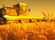 Луганская область начала сбор урожая ранних зерновых культур