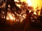 Лесные пожары в Чили не утихают, жертв уже 11