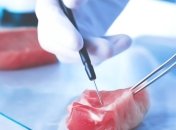 Опрос: большинство молодых австралийцев обеспокоены вопросами экологии, но не готовы есть искусственное мясо