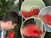 Как коронавирус передается человеку: врачи показали видео 