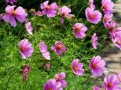 Погода: во всех регионах сухо и жарко, местами до +28°