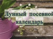 Лунный посевной календарь с 4 по 10 мая 2020 года