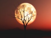 Тройке знаков Луна дарит отдых и релакс