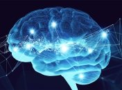 Ученые решили дать компьютеру "живые" мозги: что из этого получилось