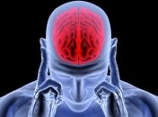 Выучить иностранный язык поможет технология "Быстрый мозг"  