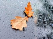 Прогноз погоды в Украине на 2 октября: ожидается переменная облачность 