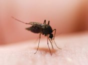 Вакцины делают малярийных паразитов более опасными и агрессивными