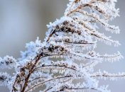 Какой завтра праздник: приметы и обряды на 10 января