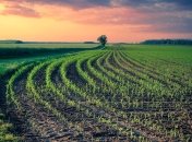 26 июля - праздник, что категорически запрещено делать, главные приметы