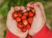 Каким будет июнь. Народный календарь примет