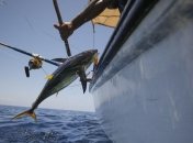 Французские рыбаки в Ла Манше забросали камнями британских (Видео)