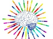 Ученые обнаружили органические особенности строения мозга людей с аутизмом