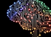 Нейросеть научилась "читать мысли" по активности мозга