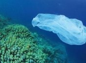 В глубокой впадине мира нашли полиэтиленовый пакет