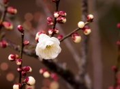 Прогноз погоды в Украине на 5 апреля: тепло и солнечно