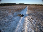 Наземний дрон з оптоволоконним керуванням