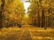 Синоптики говорят, что циклон скоро покинет Украину 