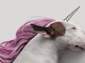 Как художник превратил свою депрессию в искусство (Фото)