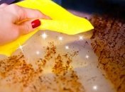 Это решение является отличной альтернативой химикатам