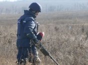 Пиротехники изъяли 19 взрывоопасных предметов в районе Петровского