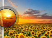 Погода в Україні