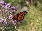 В Україну йде суттєве похолодання: погода, карта