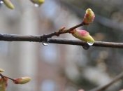 Прогноз погоды на 19 апреля: порывы ветра, местами дождь