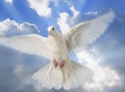 Духов день 8 июня: обряды и народные традиции