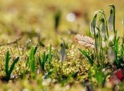 6 марта - приметы и обряды в День Тимофея