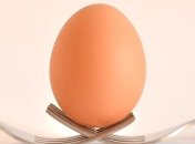 Тайна раскрыта: стало известно, что означало "нашумевшее" фото яйца в сети