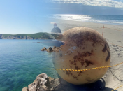 Коллаж "Телеграфа"