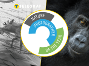 Иллюстративное фото