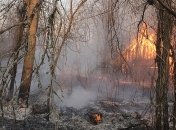 Ситуация в Чернобыле: пожарные до сих пор тушат несколько очагов