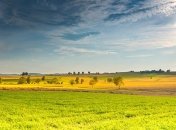 Богдан: За год возможно будет продать не более 5% земли