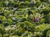 Очередная порция юмора в подборке смешных картинок