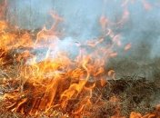 На Харьковщине в Красноградском лесничестве горит около 5 га леса