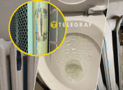 Последствия мороза